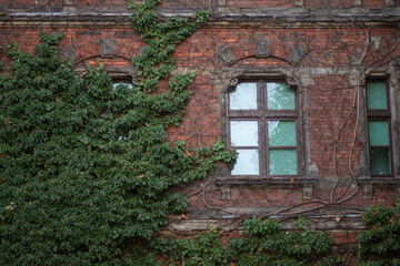 Fototapeta na wymiar Window on old building in Wroclaw, Poland, Europe