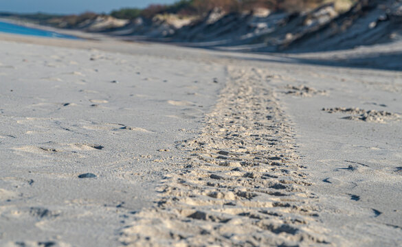 car tire marks on the sand on an autumn sunny day close up