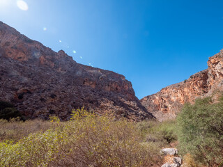 Wadi, Dry Gorge with some plants and trees