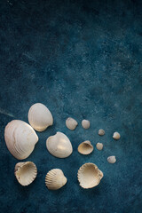 Various sea shells on deep blue concrete background with copy space for text
