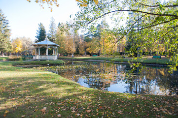 Autumn leaves in the park