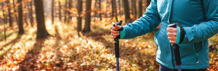 Hiking in autumn forest. Woman trekking in woodland. Tourist with hiking pole. Panoramic view