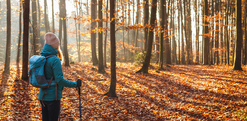 Hiking outdoors in fall season. Autumn hike in forest. Woman tourist with backpack and hiking pole looking at sunbeam in woodland. Panoramic view - obrazy, fototapety, plakaty