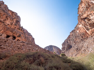 Wadi, Dry Gorge with some plants and trees