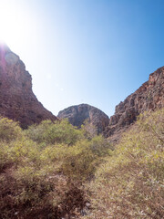 Wadi, Dry Gorge with some plants and trees