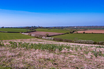 Buckinghamshire countryside in spring
