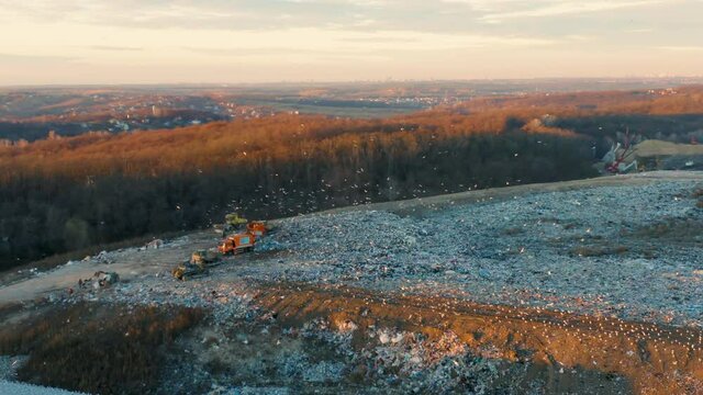 Aerial panoramic view of a city dump at sunset. Garbage trucks unload garbage. Bulldozers crush and level debris. Flocks of birds are circling over the dump.