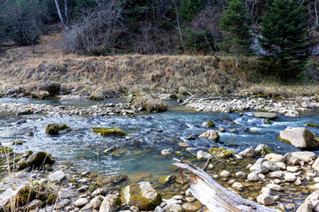 traveling along the bed of a mountain river, an autumn day, nature is preparing for winter hibernation.