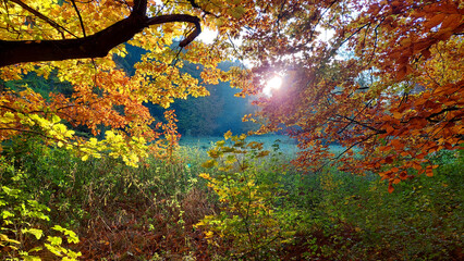 Laupheim, Deutschland: Herbst im Schlosspark