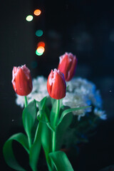 red tulip