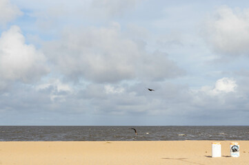 kite on the beach