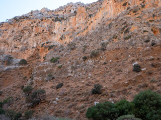 Wadi, Dry Gorge with some plants and trees