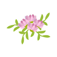 Pink flower icon on white background