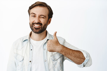 Cheerful caucasian male model with long beard, winking and showing thumbs up, smiling pleased,...