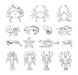 Collection of monochrome illustrations of crustaceans in sketch style. Hand drawings in art ink style. Black and white graphics.