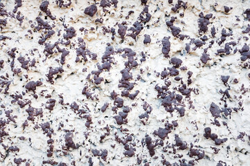 Texture of white-brown painted cement plaster wall.