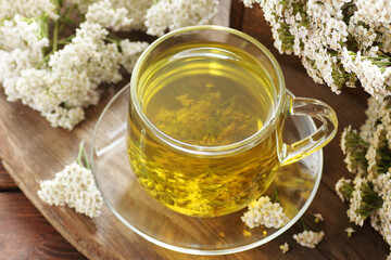 Yarrow herbal healing tea or decoction with fresh milfoil flowers close on rustic table on wooden background, closeup, copy space, natural medicine and naturopathy concept
