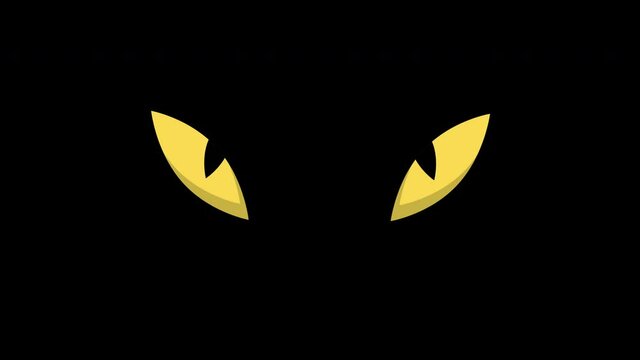 cat blinked eyes animation.4K video