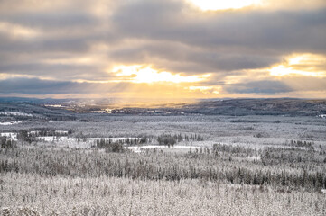 Winter landscape with forest, trees covered snow and sunray coming through the clouds. Winterly morning of a new day. Cloudy winter landscape with sunset