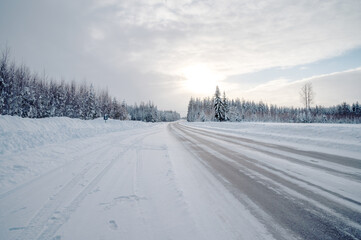 Obraz premium Scenic image of spruces tree. Cloudy blue sky, calm wintry scene. Ski resort. Great picture of wild area