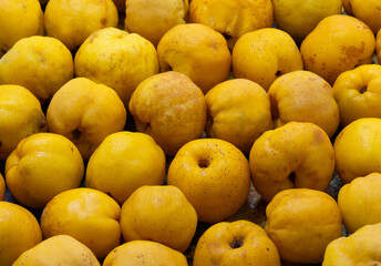 Fresh ripe yellow organic quinces as background, closeup, food background copy space