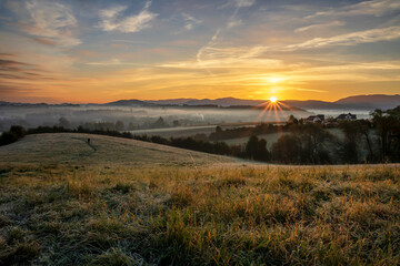 Misty sunrise on a meadow and a single dog walker