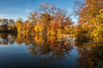 Colorful autumn trees against a blue sky reflecting in the water of the pond