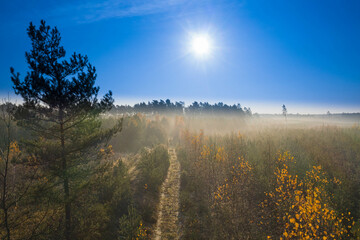 Poranne mgły oświetlone słonecznymi promieniami unoszące się nad lasem. Widok z drona. - obrazy, fototapety, plakaty