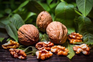 Walnuts and kernels with leaves on dark vintage table