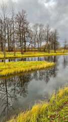 A pond and tree crowns without foliage in an autumn landscape, small islands, reflections of tree branches in water, green grass and yellow leaves on the ground.