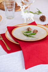 Table served for Christmas dinner in living room