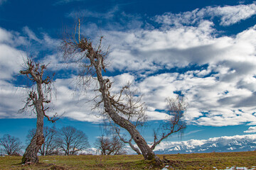 Obraz premium Winter landscape in Romania