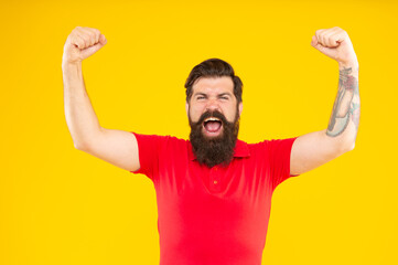 shouting bearded man with moustache in tshirt on yellow background, aggression