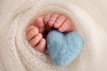 Legs, toes, feet and heels of a newborn. Wrapped in a white knitted blanket, wrapped. Macro photography, close-up. Knitted blue heart in baby's legs. 