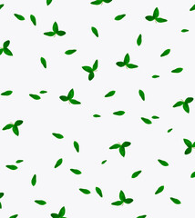 Fototapeta na wymiar green clover leaves isolated on white background. St.Patrick 's Day