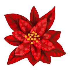 Watercolor Poinsettia. Christmas star. Christmas flower isolated on a white background