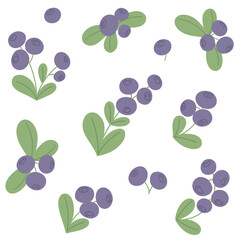 Collection of branches with winter blueberries for print, design, decor. Vector isolates.