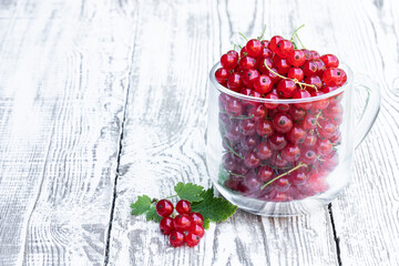 Fresh red currant berry in clear glass mug isolated on white
