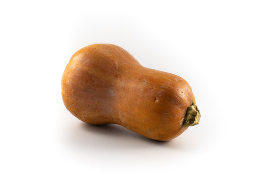Photo of a honey nut or butternut winter squash 