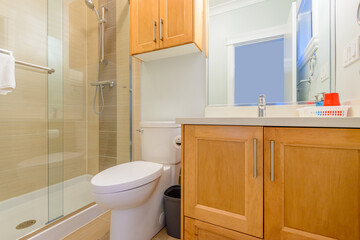 Fragment of a luxury bathroom