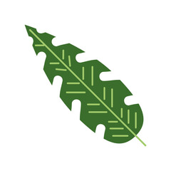 Fototapeta premium tropical green leaf