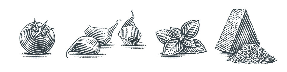 Cherry tomatoe, basil, cheese and garlic cloves. Hand drawn engraving style illustrations. Vector illustration.