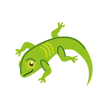 green lizard icon © djvstock
