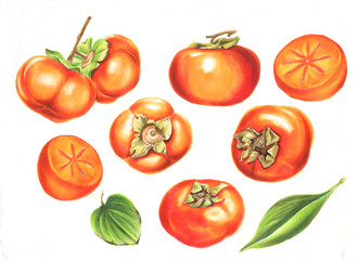 persimmon isolated on white