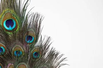 Keuken spatwand met foto Beautiful bright peacock feathers on white background © New Africa