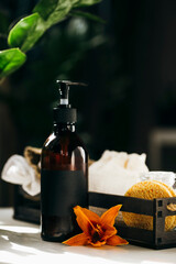 Bottles of soap and shampoo with a green plant on a white table against the background of the bathroom. 