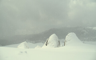 Gazing into the snow storm