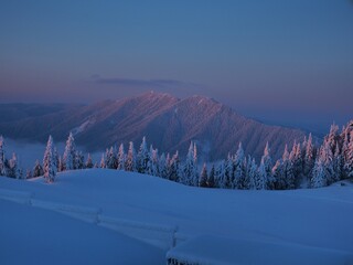 Snowy mountainside in the colours of dawn