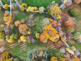 Autumn park seen from drone. autumn leaves
