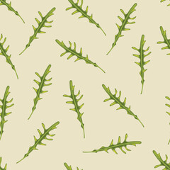 Seamless pattern with green arugula.
